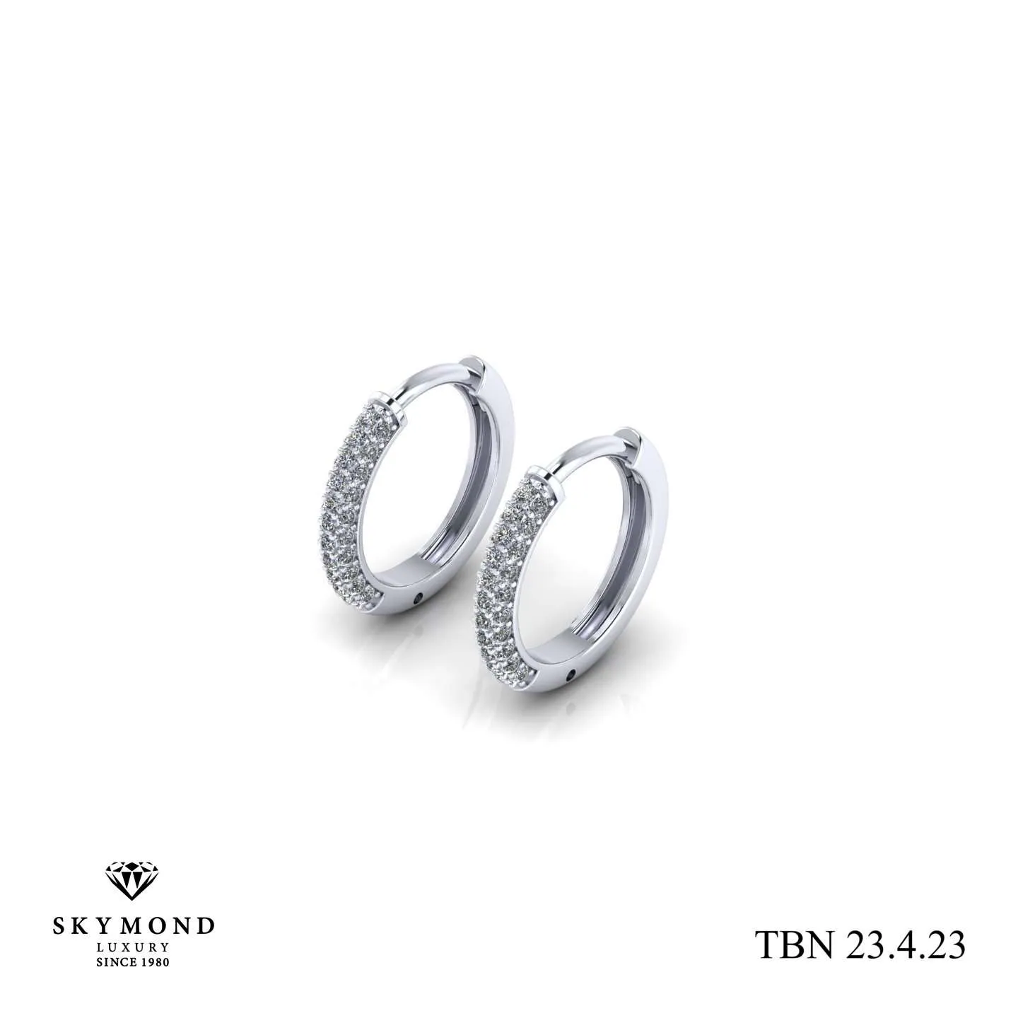 Bông Tai Platin - Bạch Kim TBN 23.4.23